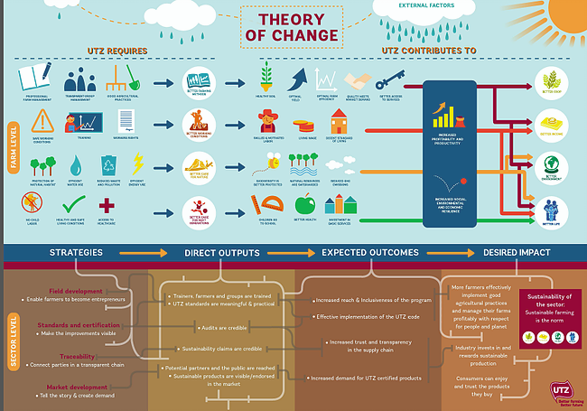 Theory of Change flow chart